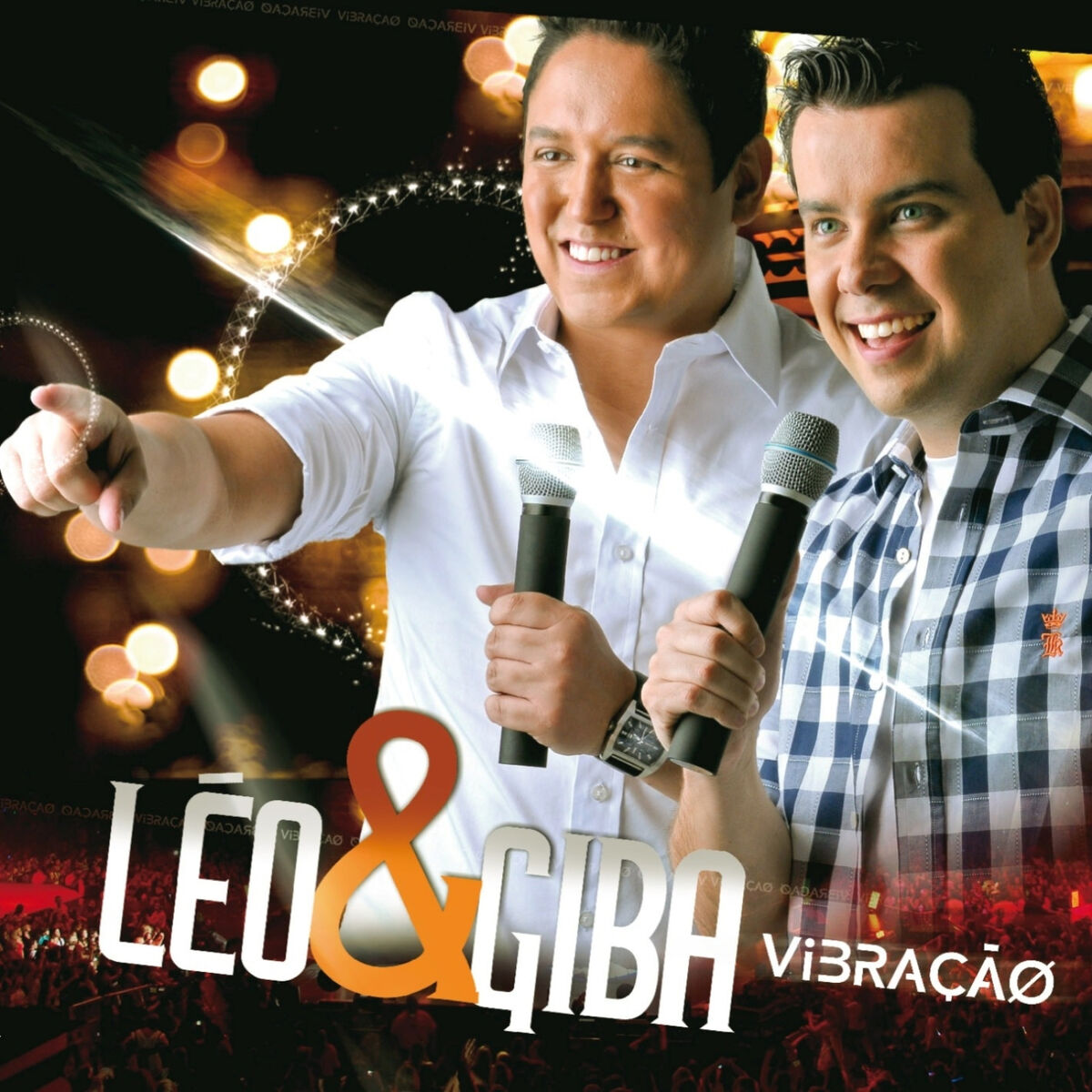 Album cover of Vibração