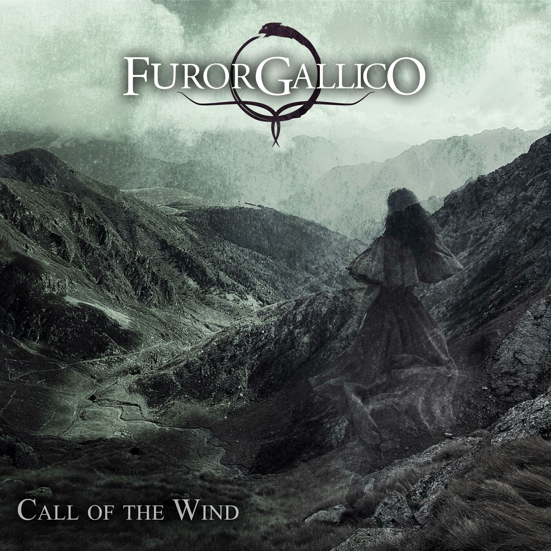Album cover of Call of the Wind
