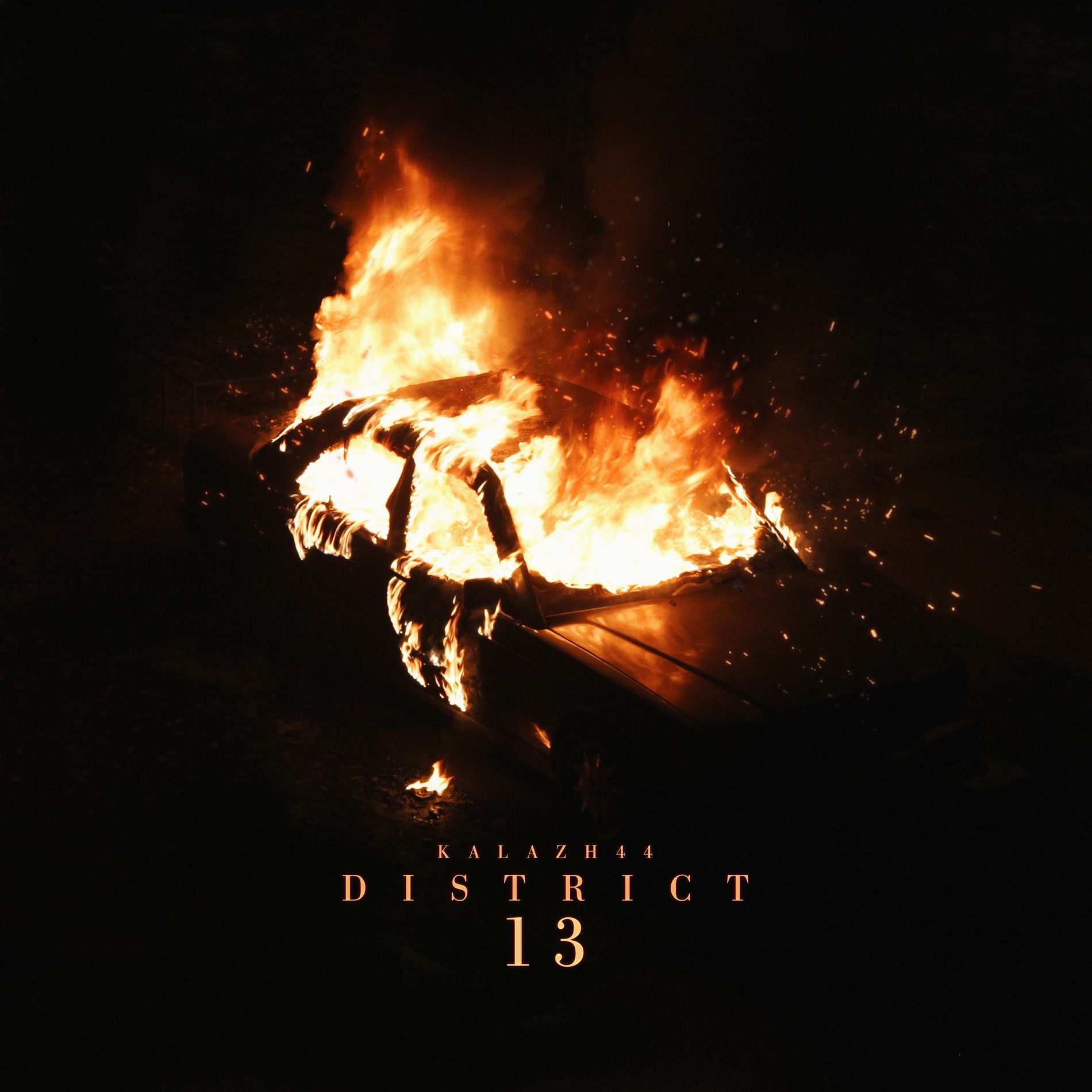 Album cover of District 13