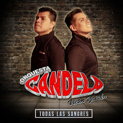 Cover of Todas las Sangres