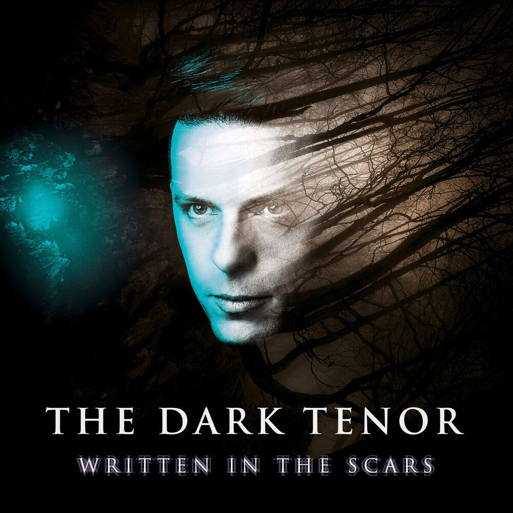 Picture of Written In The Scars