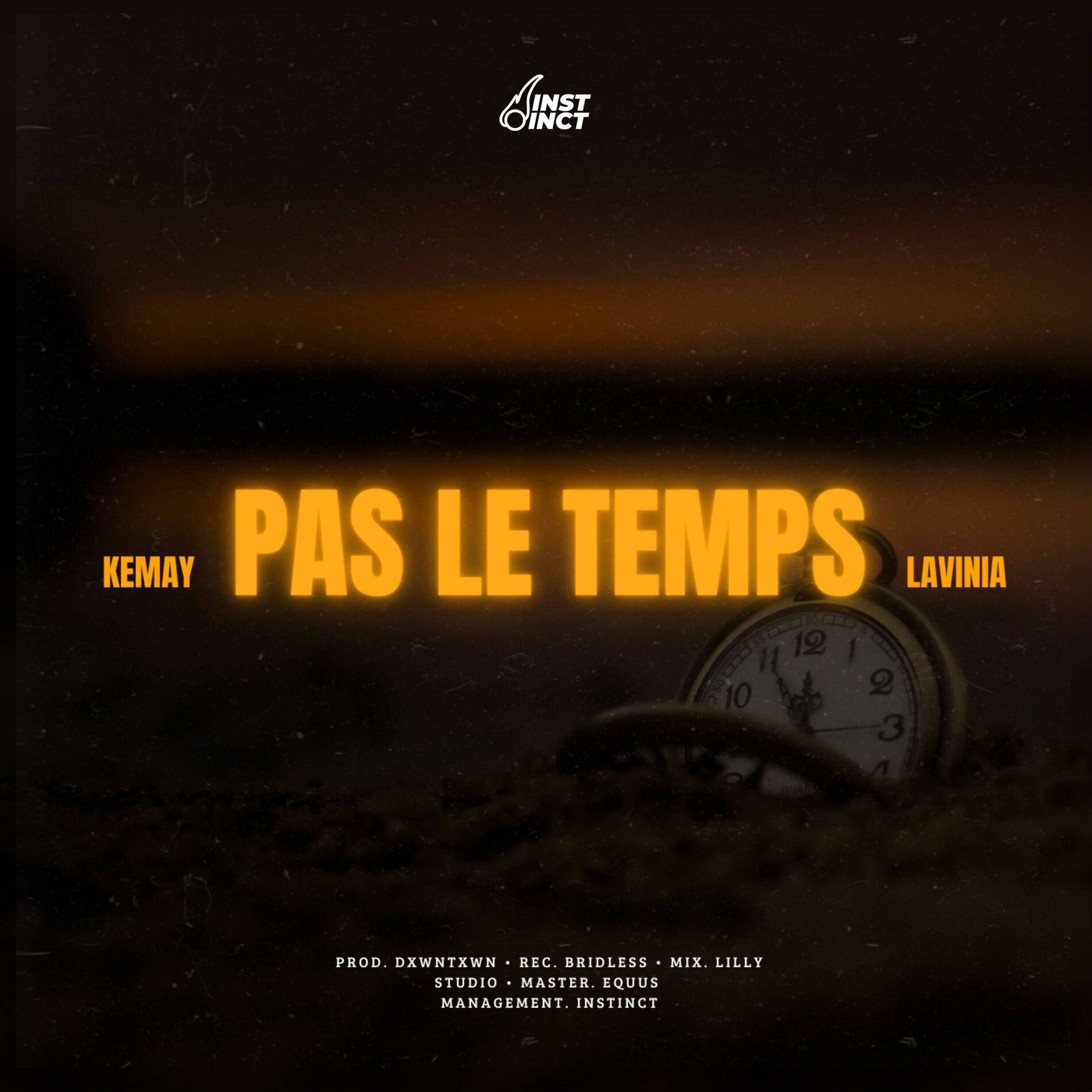Album cover of Pas Le Temps (feat. Lavinia)