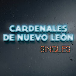 Cover of Singles