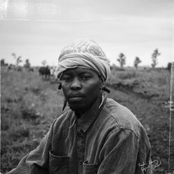 Cover of Amarekere