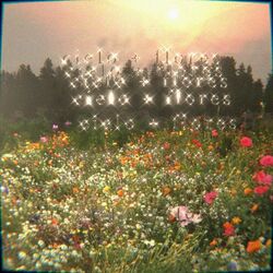 music cover