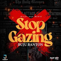Cover of Stop Gazing