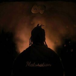 Cover of Maturation