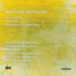 Cover of Matthias Pintscher: Violin & Cello Concertos