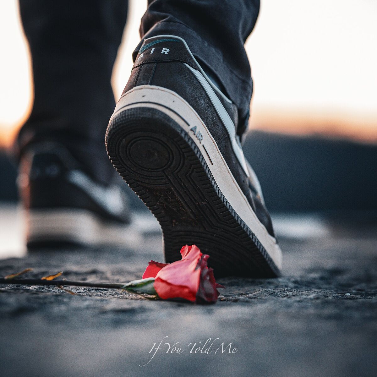 Album cover of If You Told Me