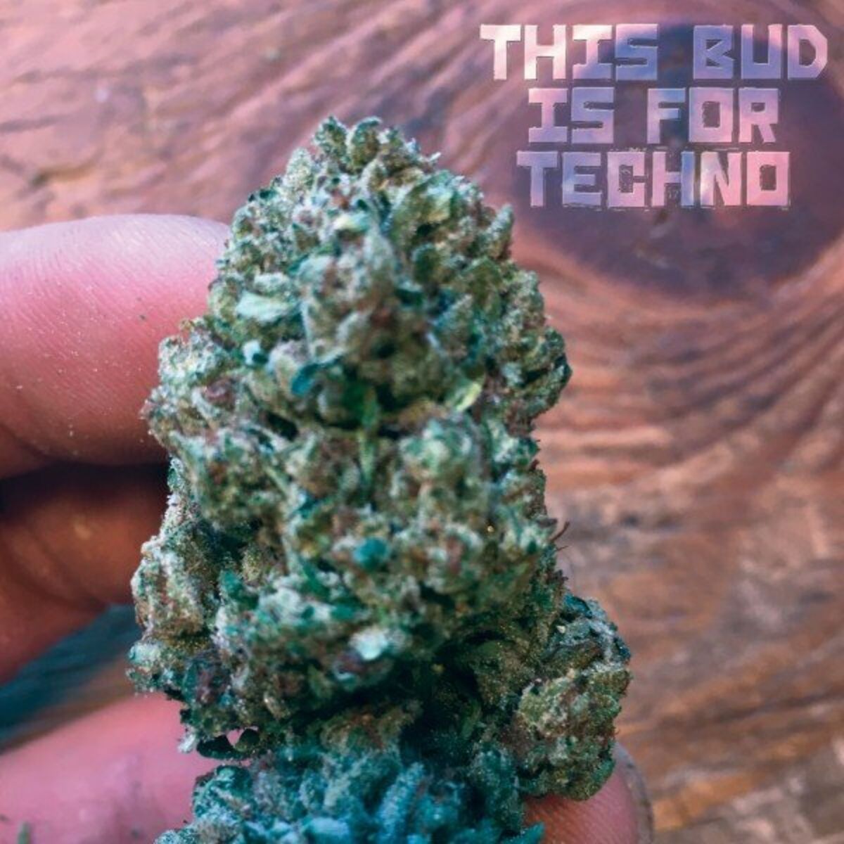 Album cover of This Bud Is for Techno