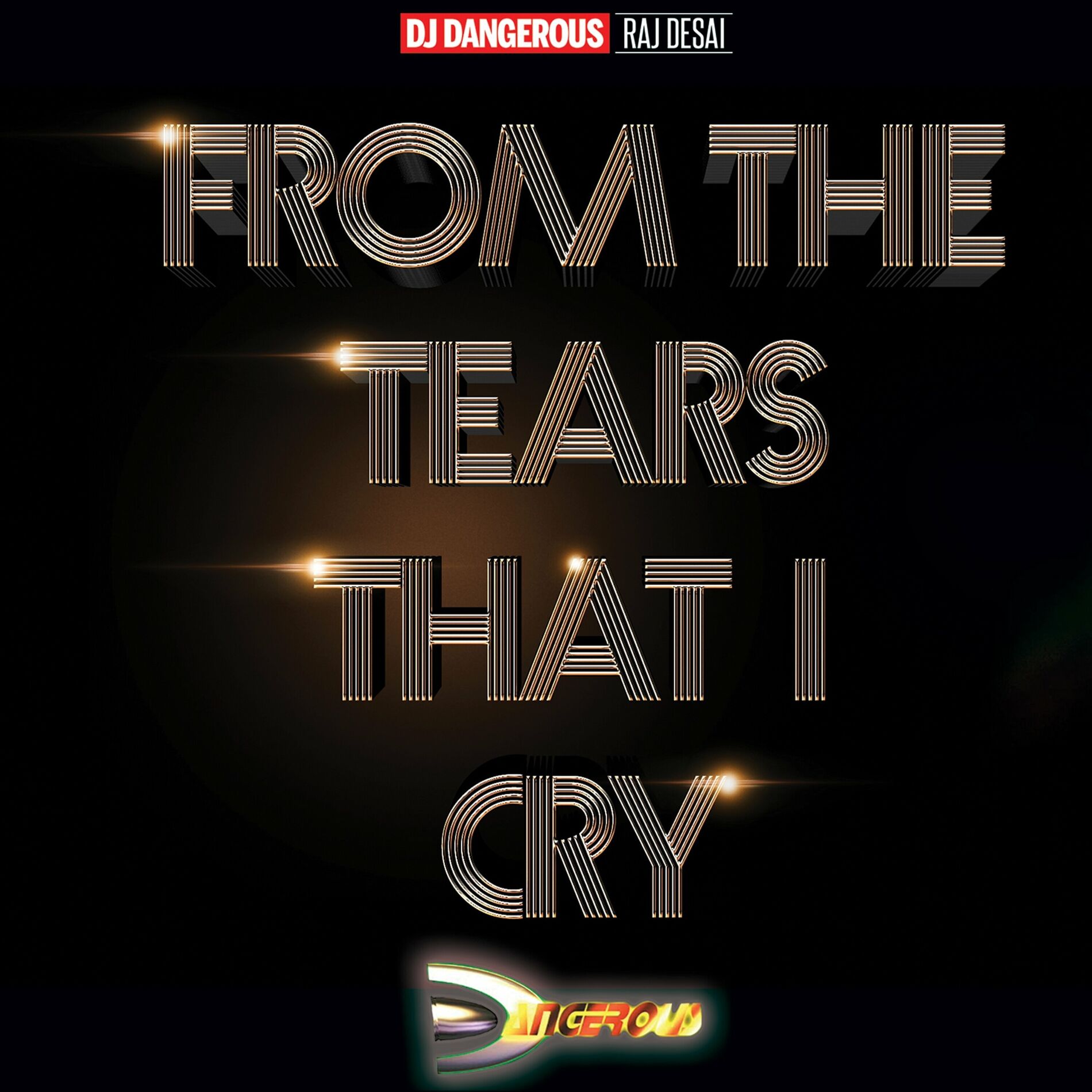Album cover of From the Tears That I Cry