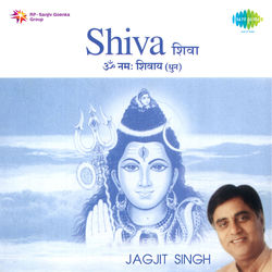 Capa de Om Shivay Hari Om Shivay