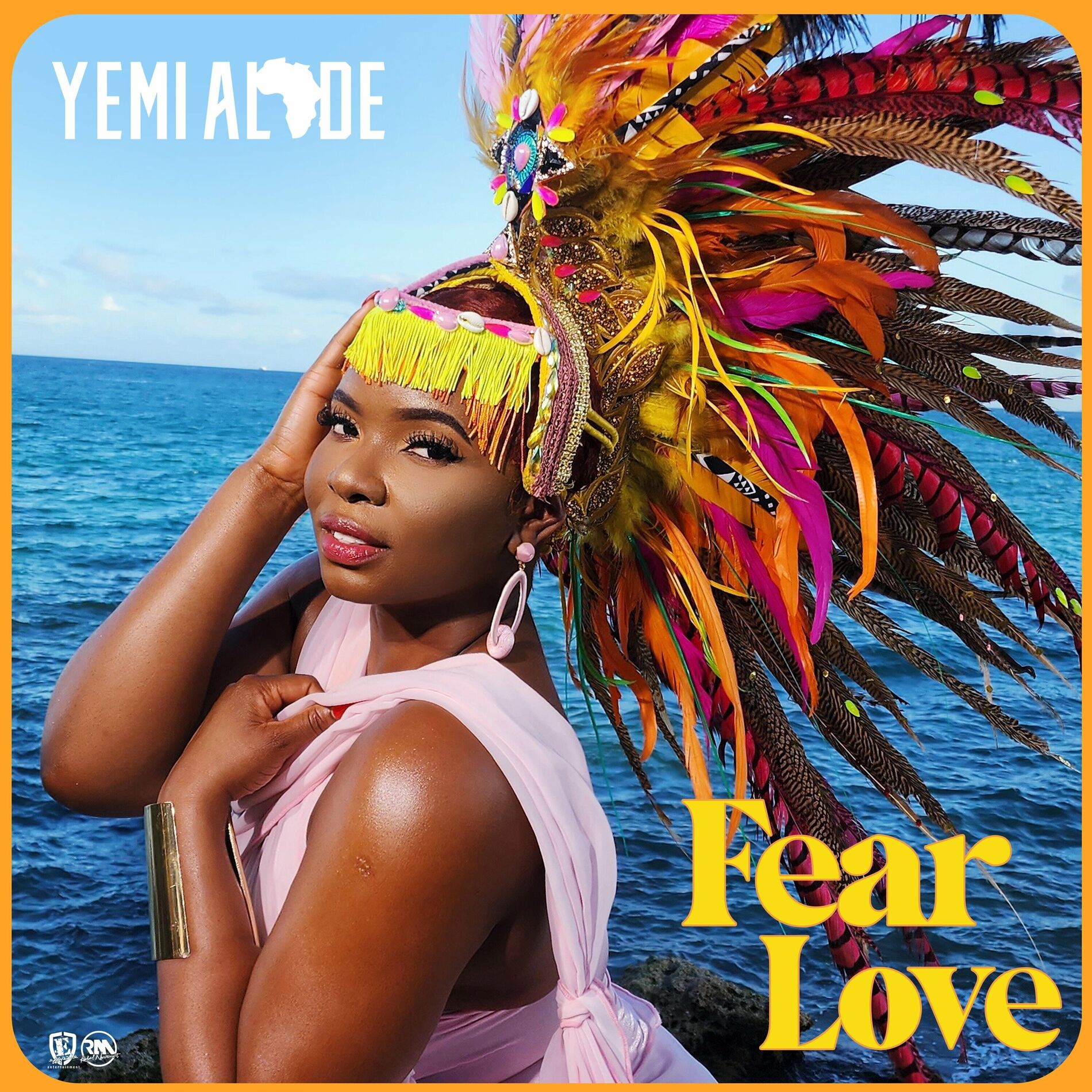 Album cover of Fear Love