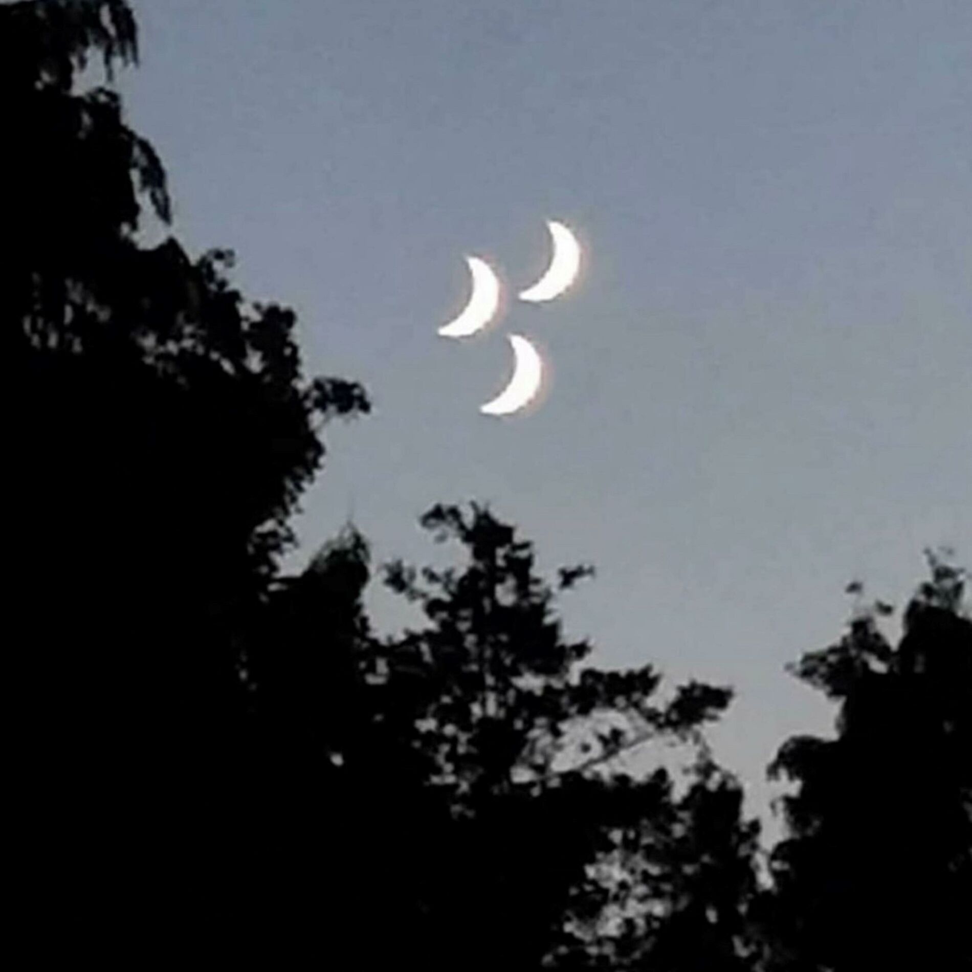 Album cover of vampire