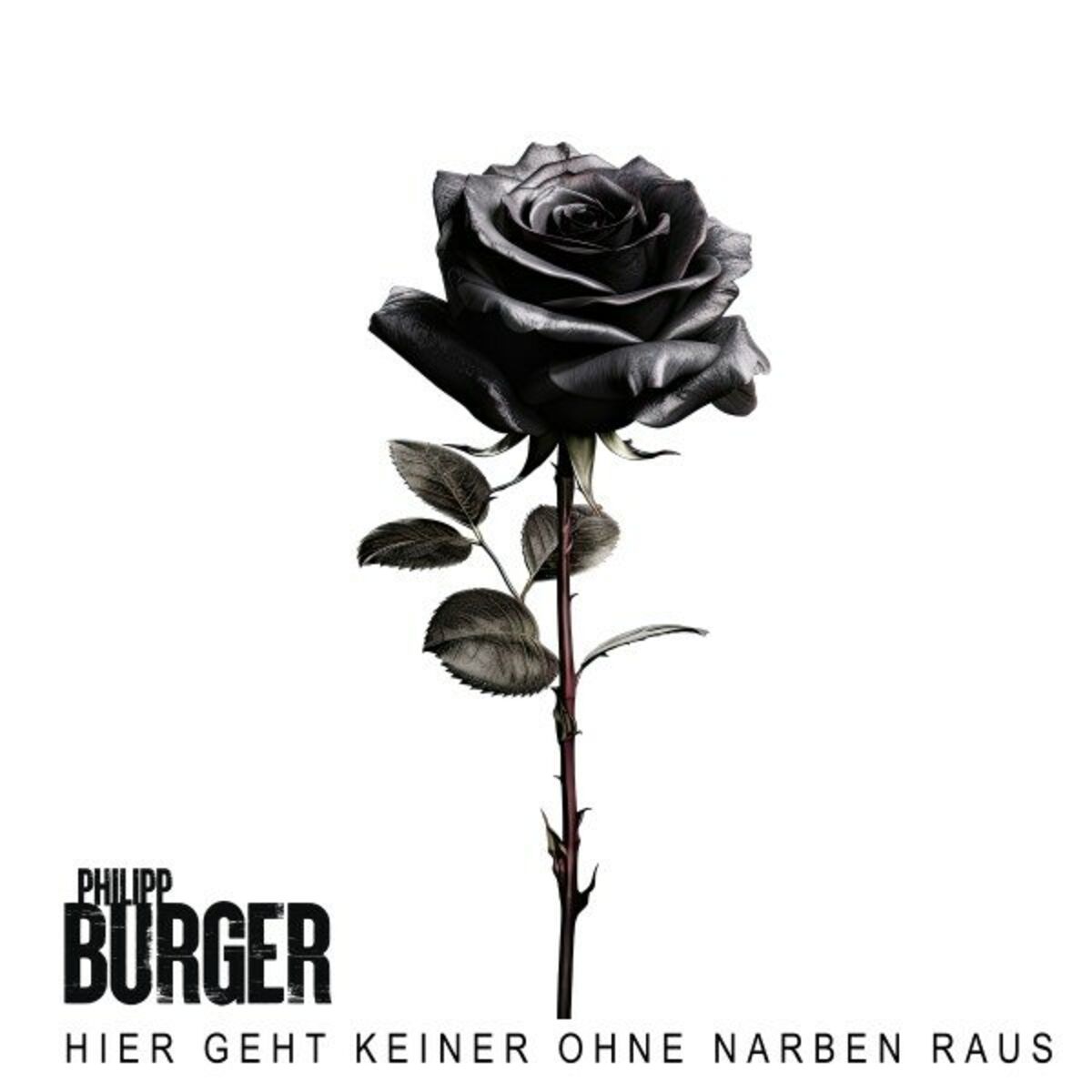 Album cover of Hier geht keiner ohne Narben raus