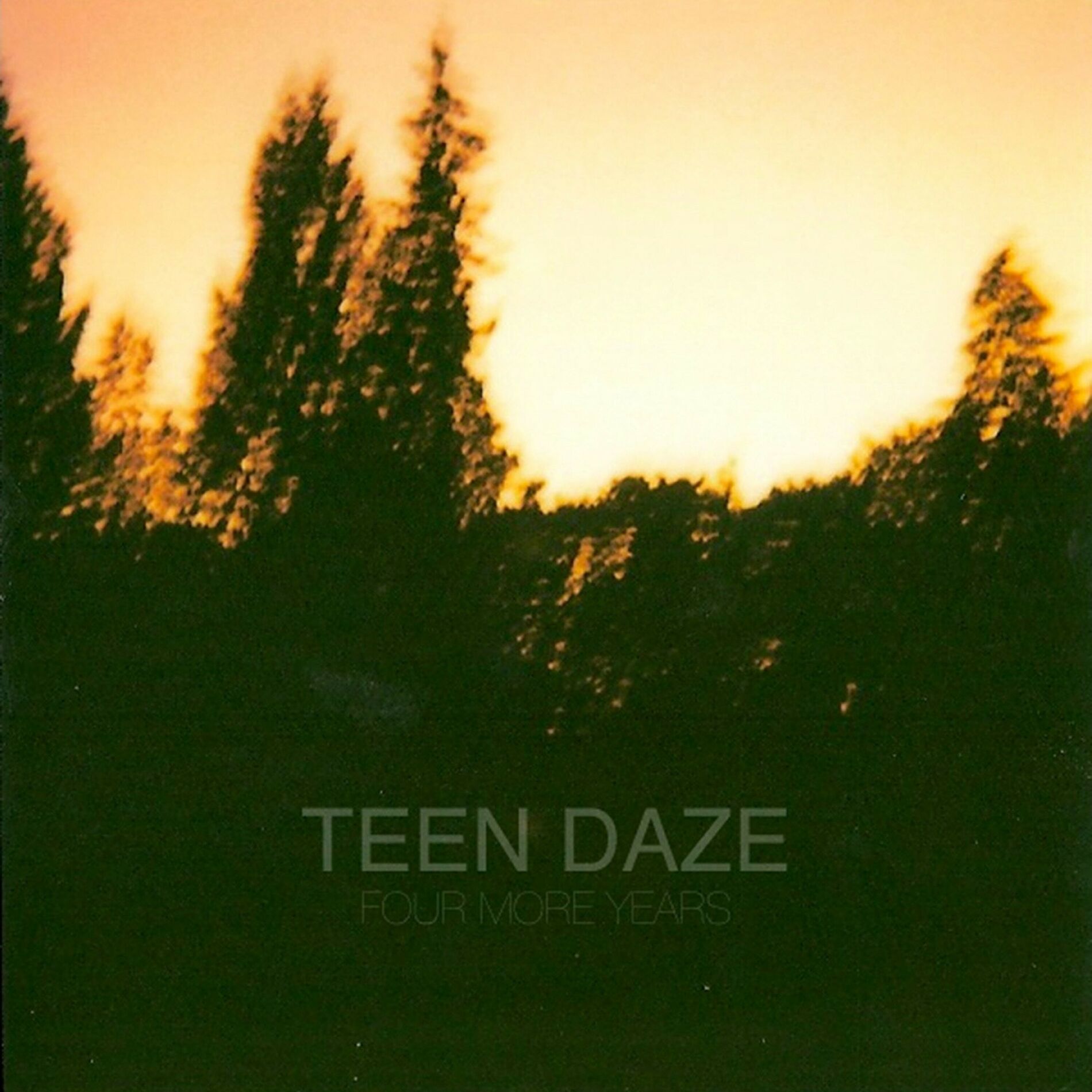 Album cover of Four More Years