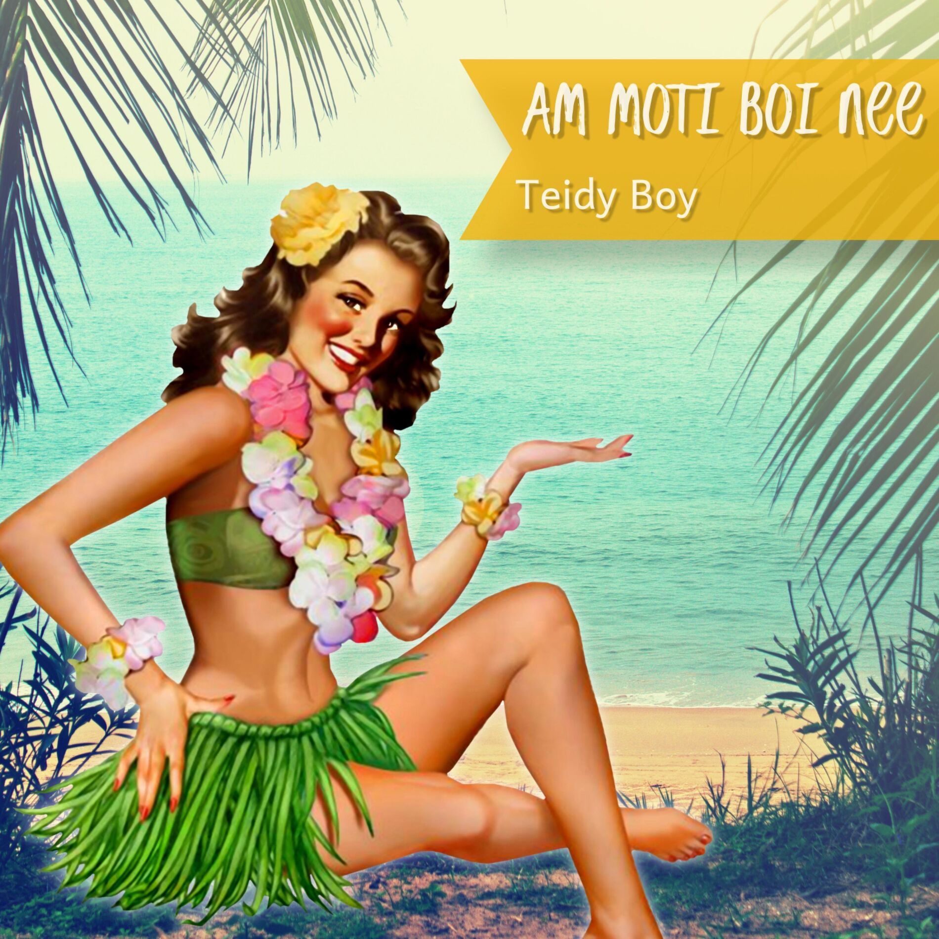 Album cover of Am Moti Boi Nee