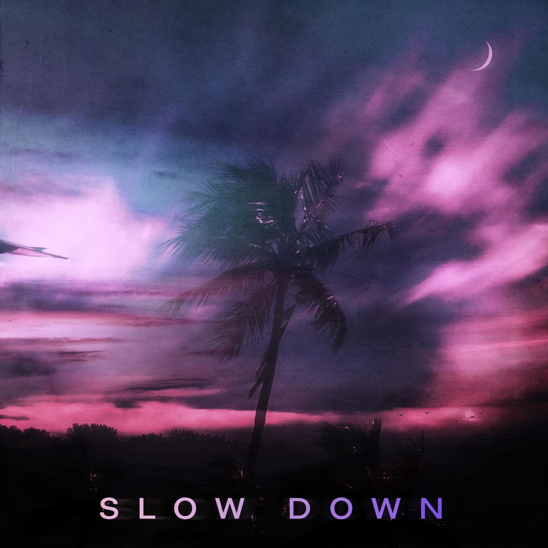 Album cover of Slow Down