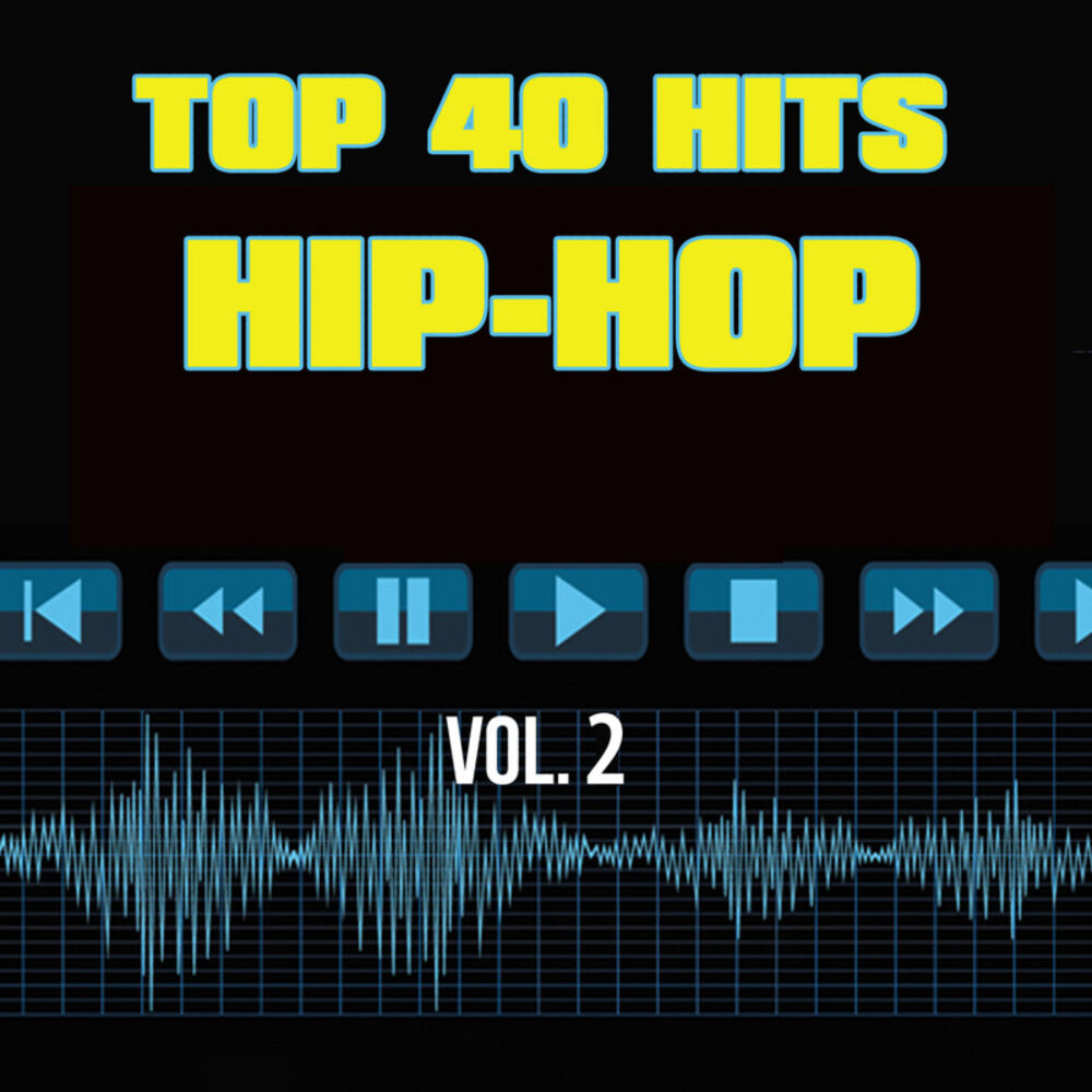 Picture of Top 40 Hits Hip Hop, Vol. 2