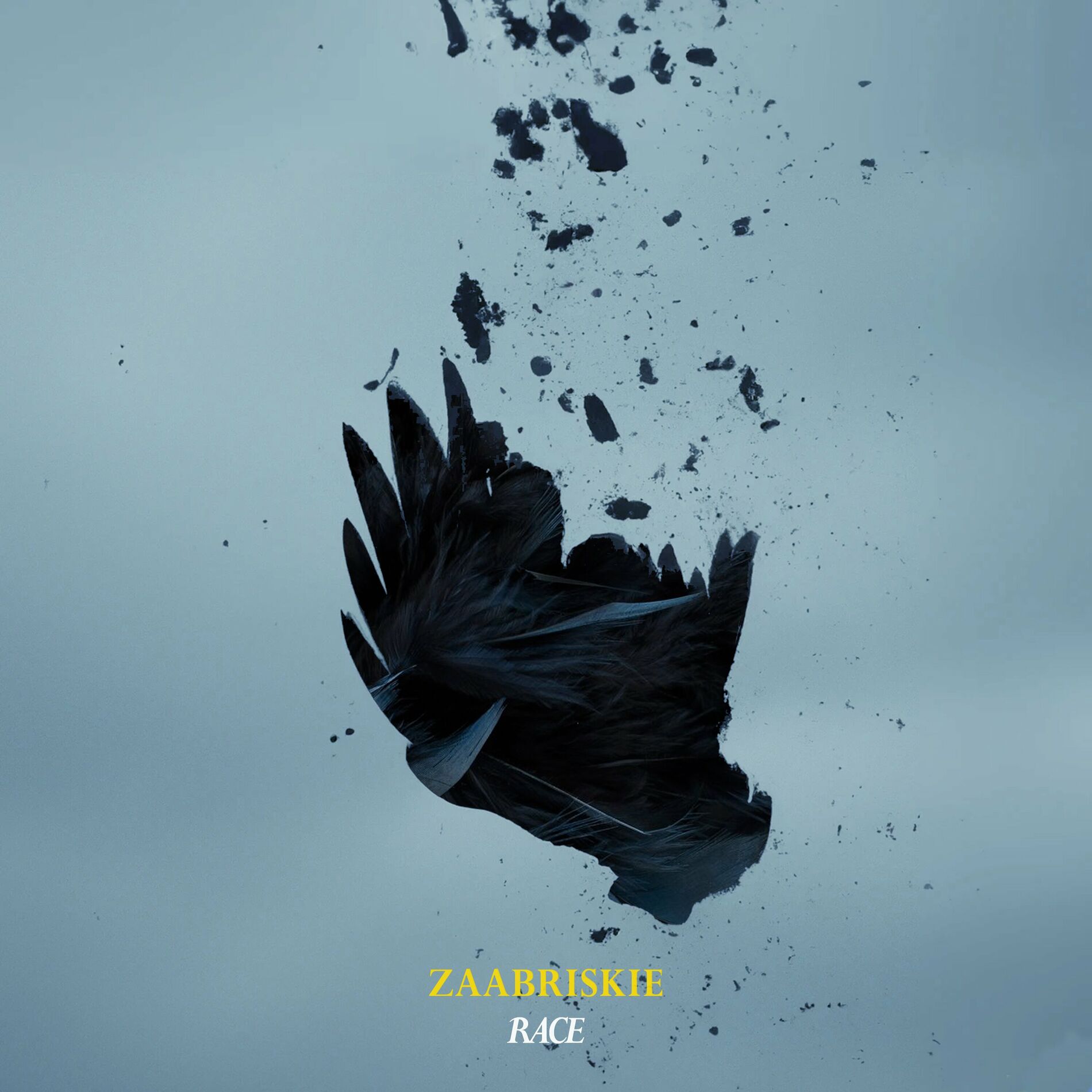 Album cover of Race