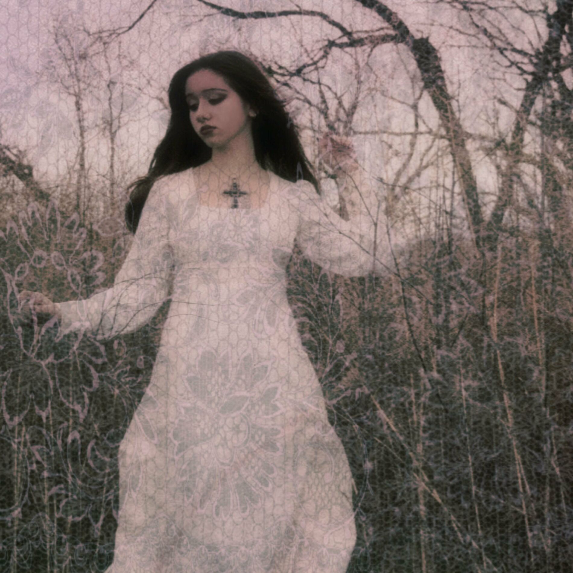 Album cover of Jewel Box