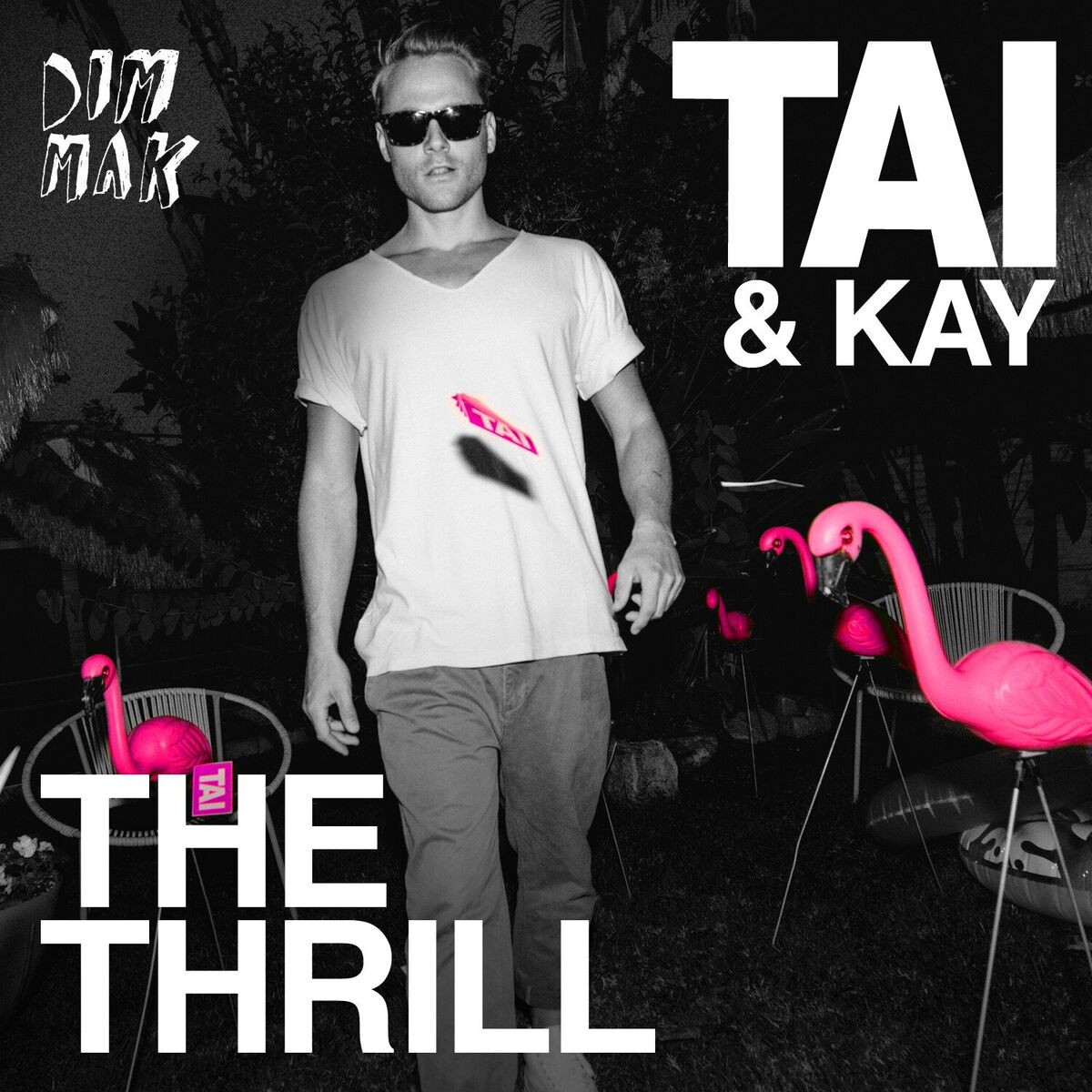 Album cover of The Thrill