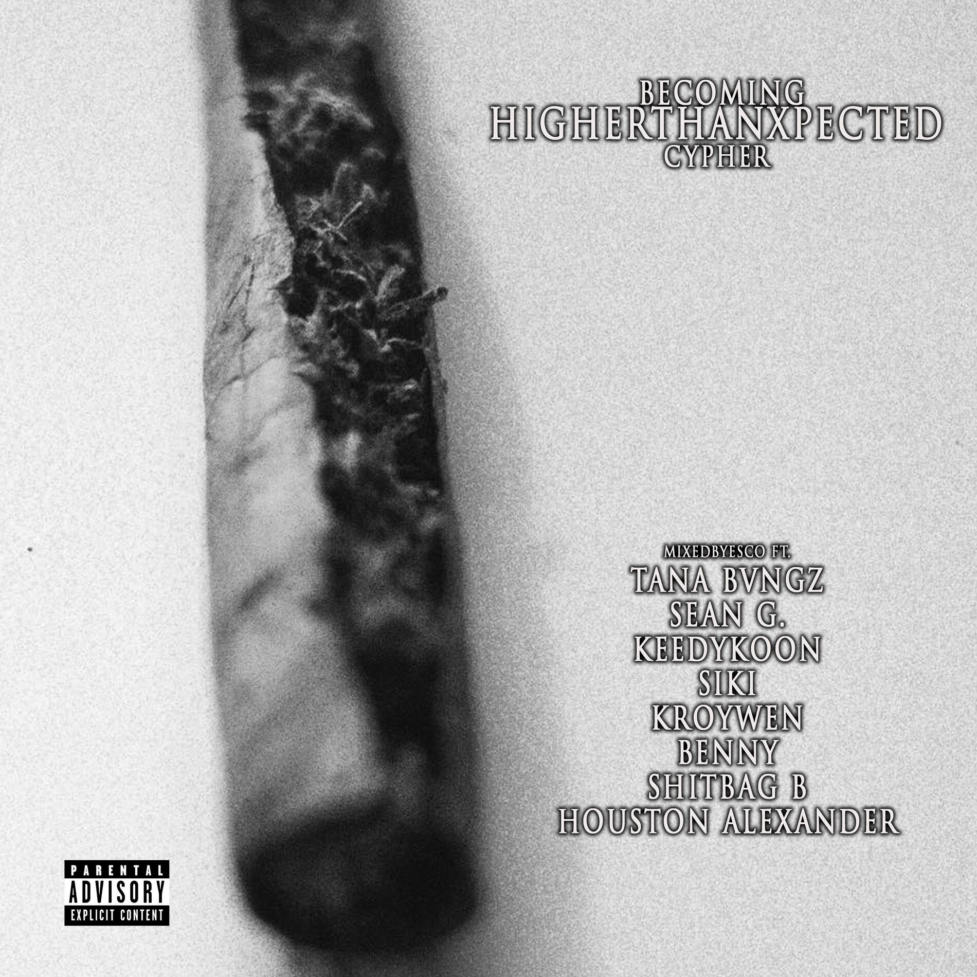 Album cover of Becoming HigherThanXpected