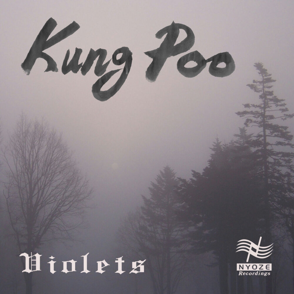 Picture of Kung Poo