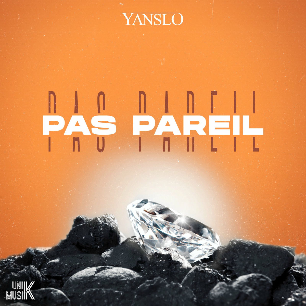 Album cover of Pas pareil