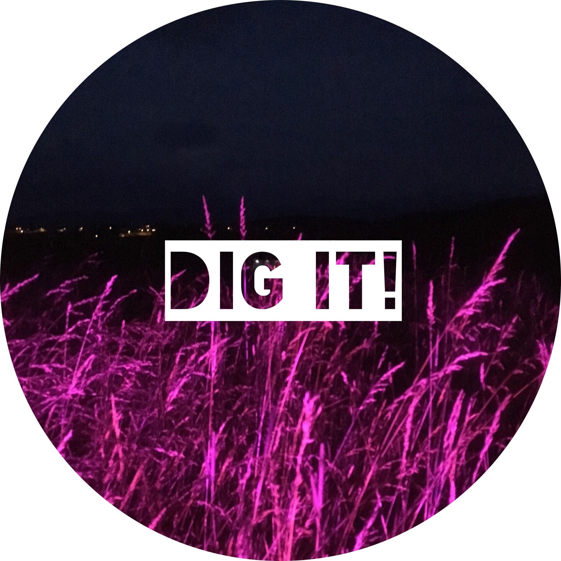 Album cover of Dig It! (feat. AAA)