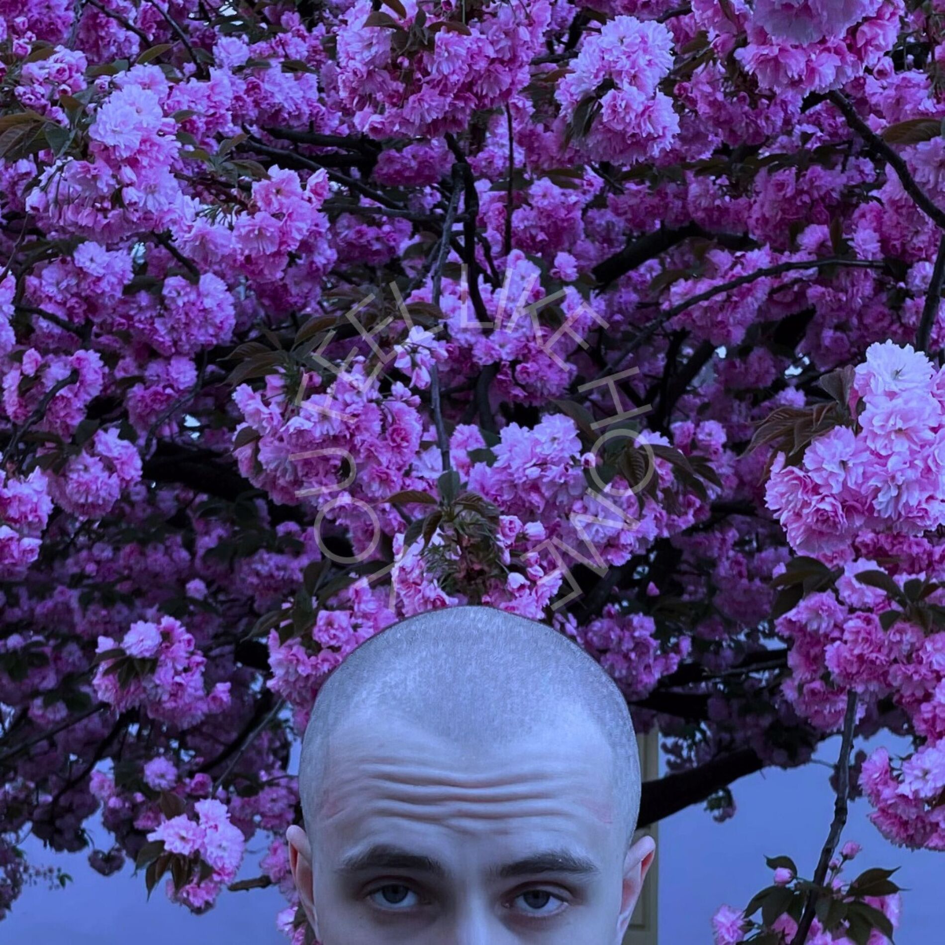 Album cover of you feel like home
