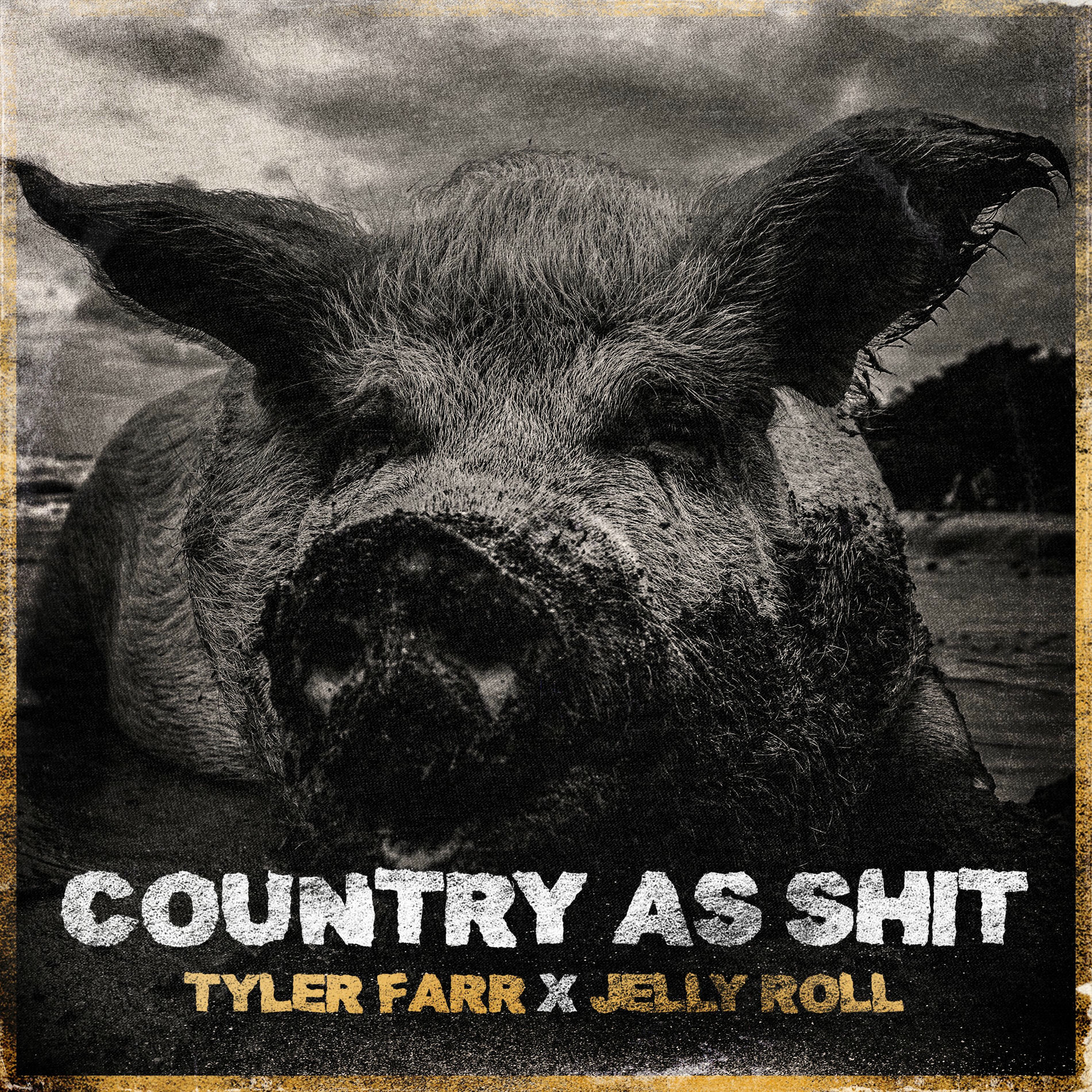 Album cover of Country As Shit (feat. Jelly Roll)