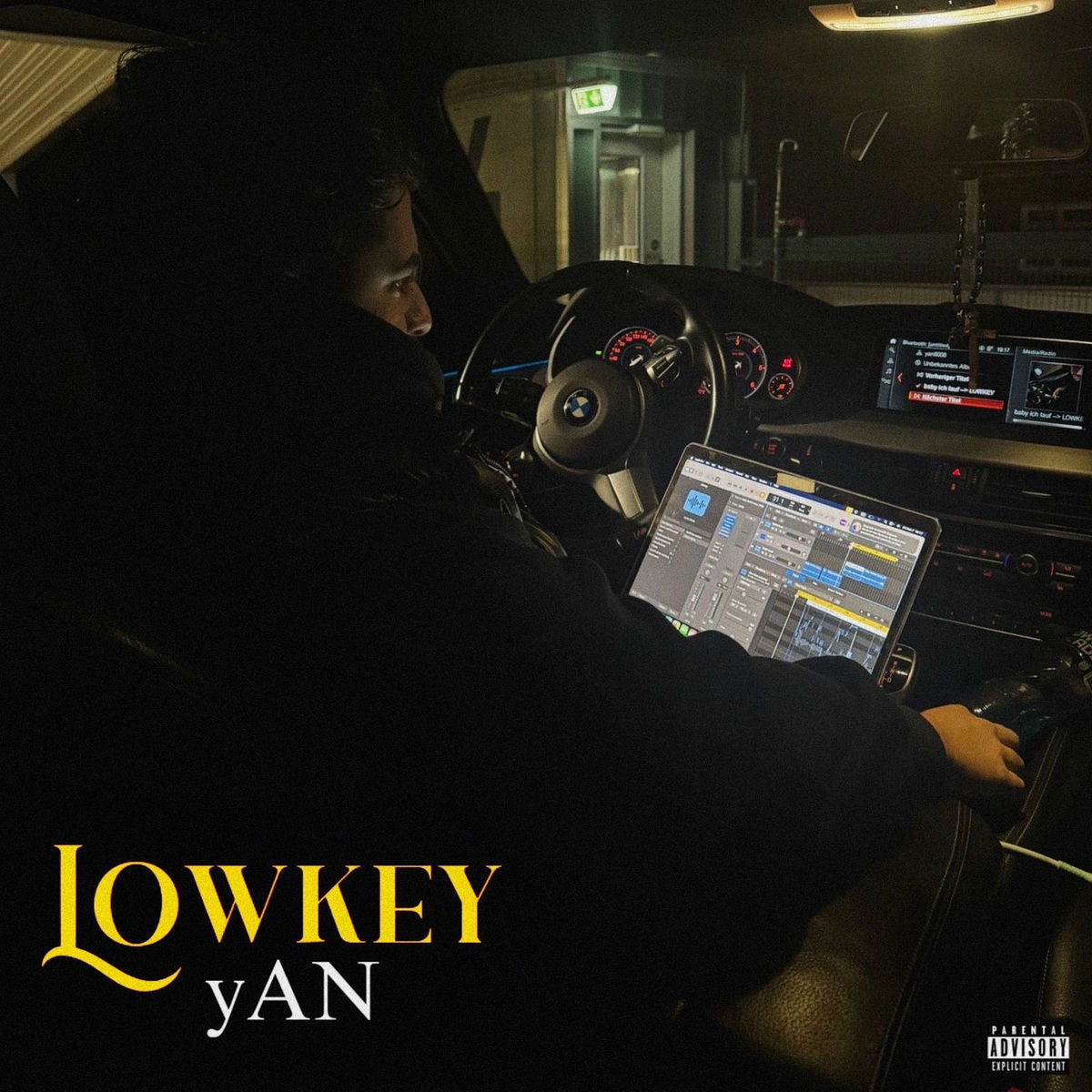 Album cover of Lowkey
