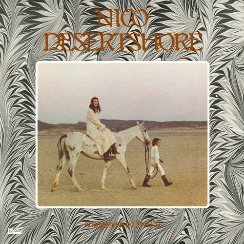 Desertshore — cover art