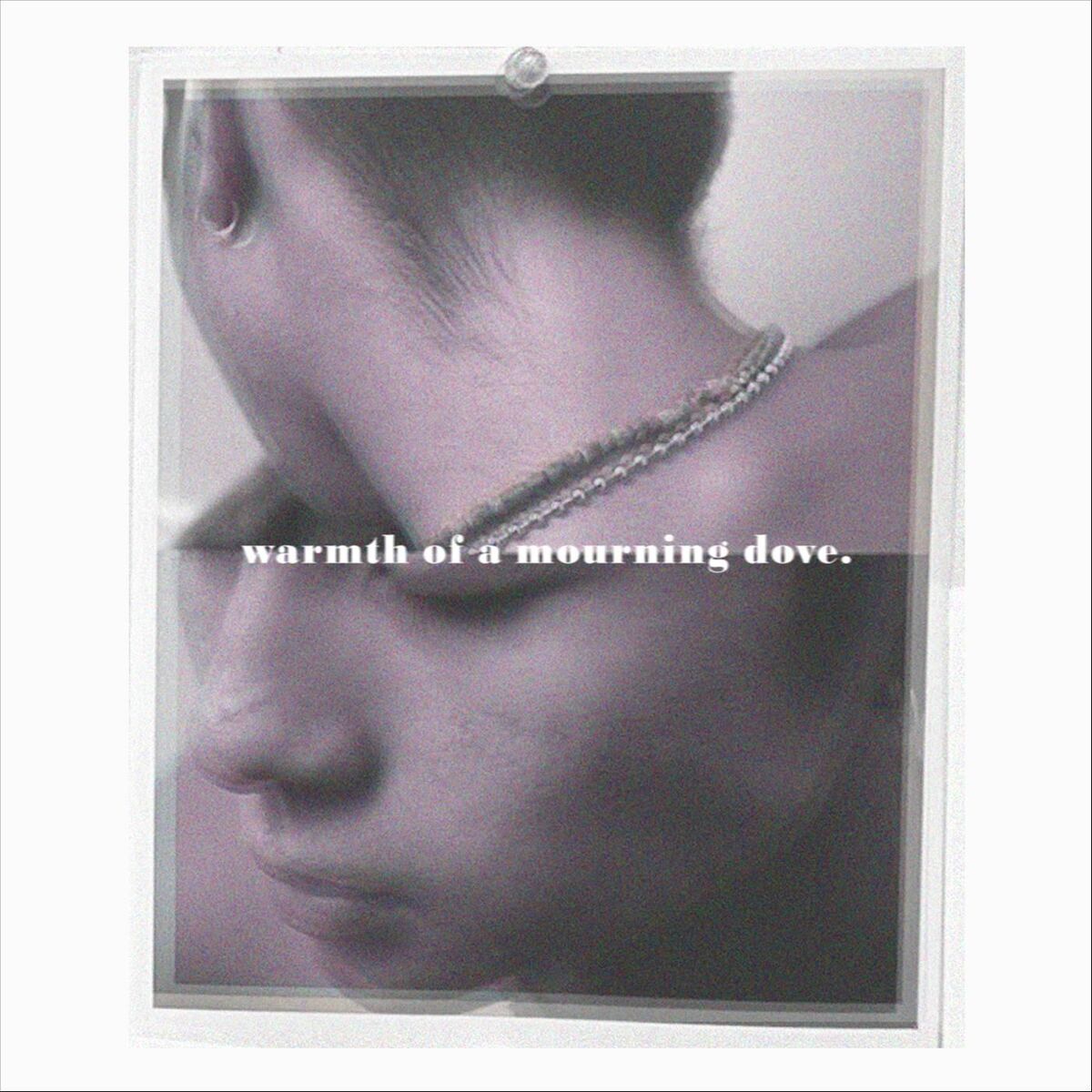 Album cover of Warmth of a Mourning Dove.