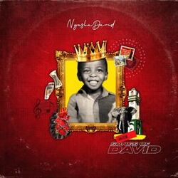 Cover of Ndoda(I Do)