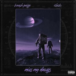 Cover of Miss My Dawgs