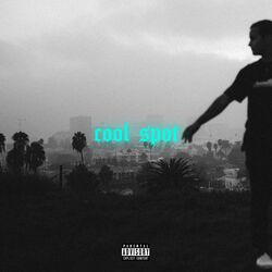 Cover of Cool Spot