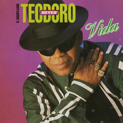 Cover of Vida