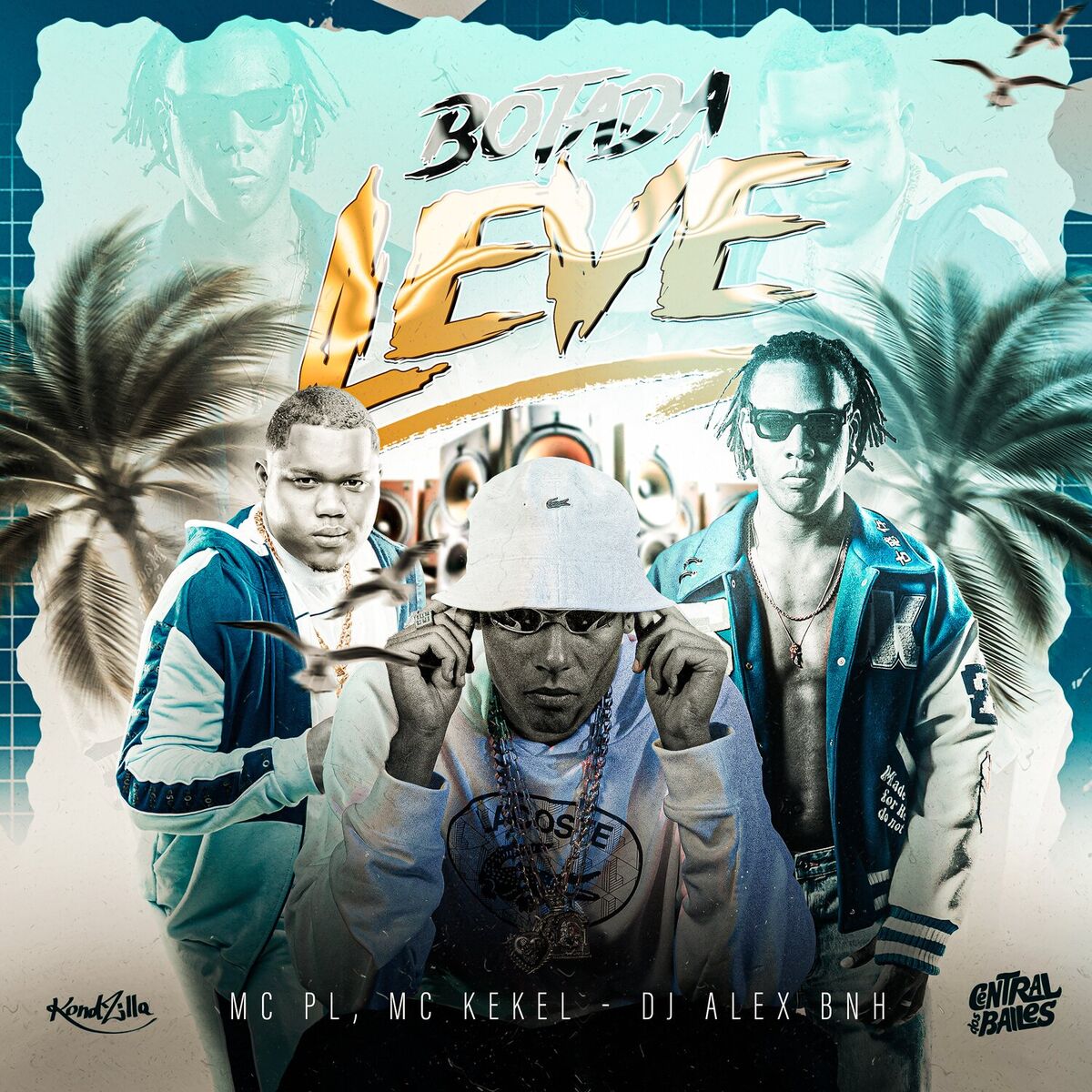 Album cover of Botada Leve
