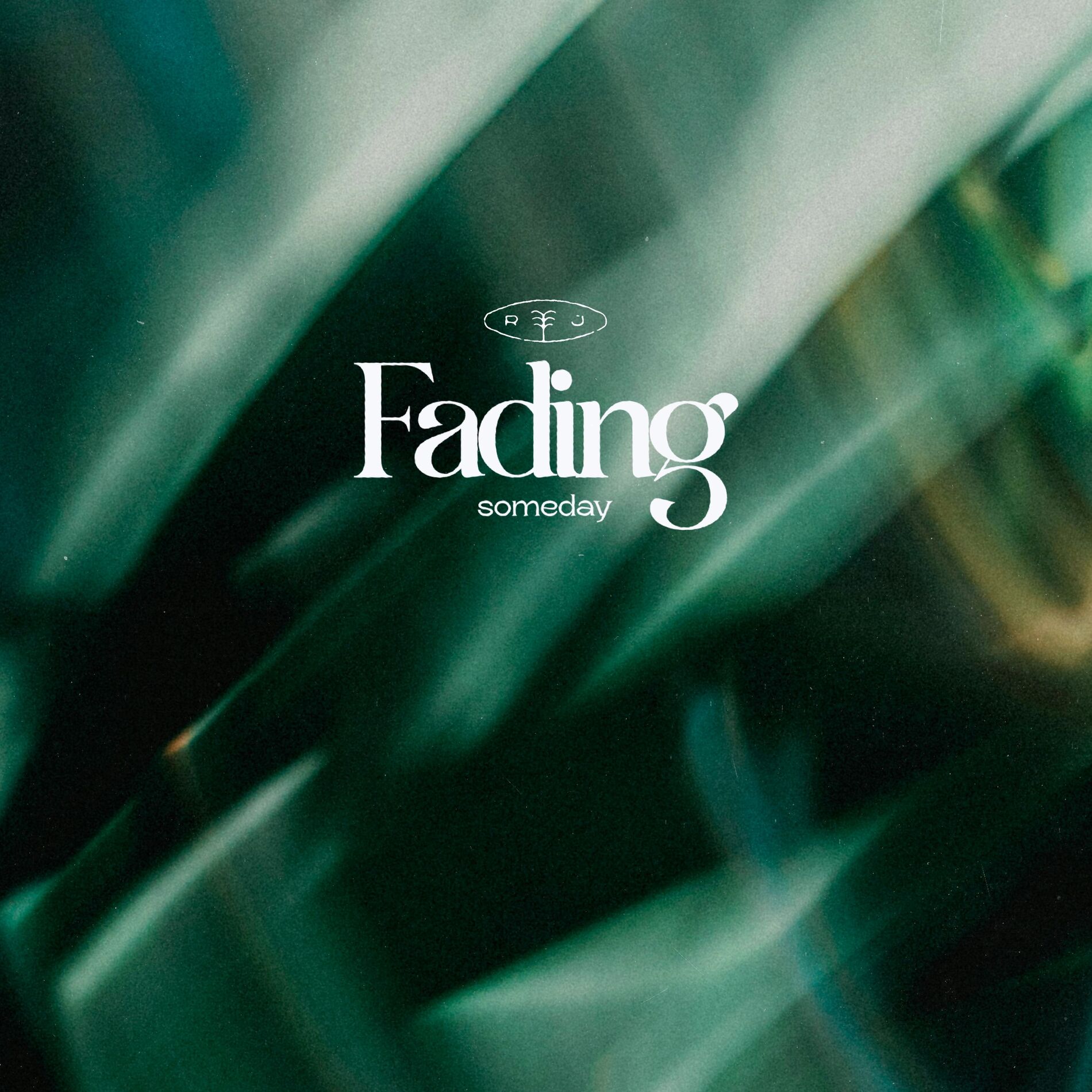 Album cover of Fading
