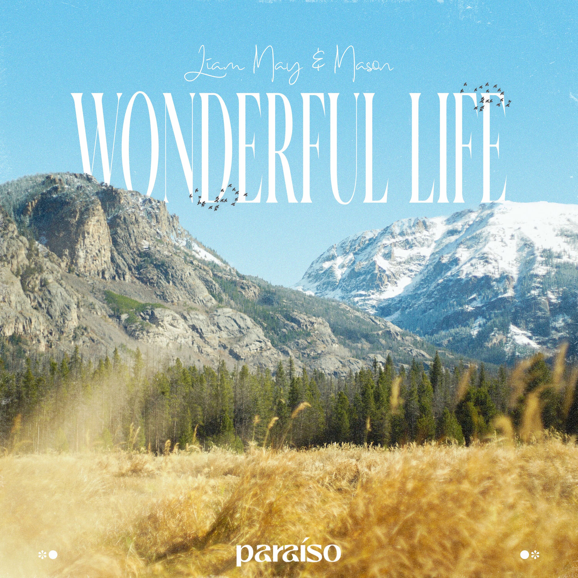 Album cover of Wonderful Life