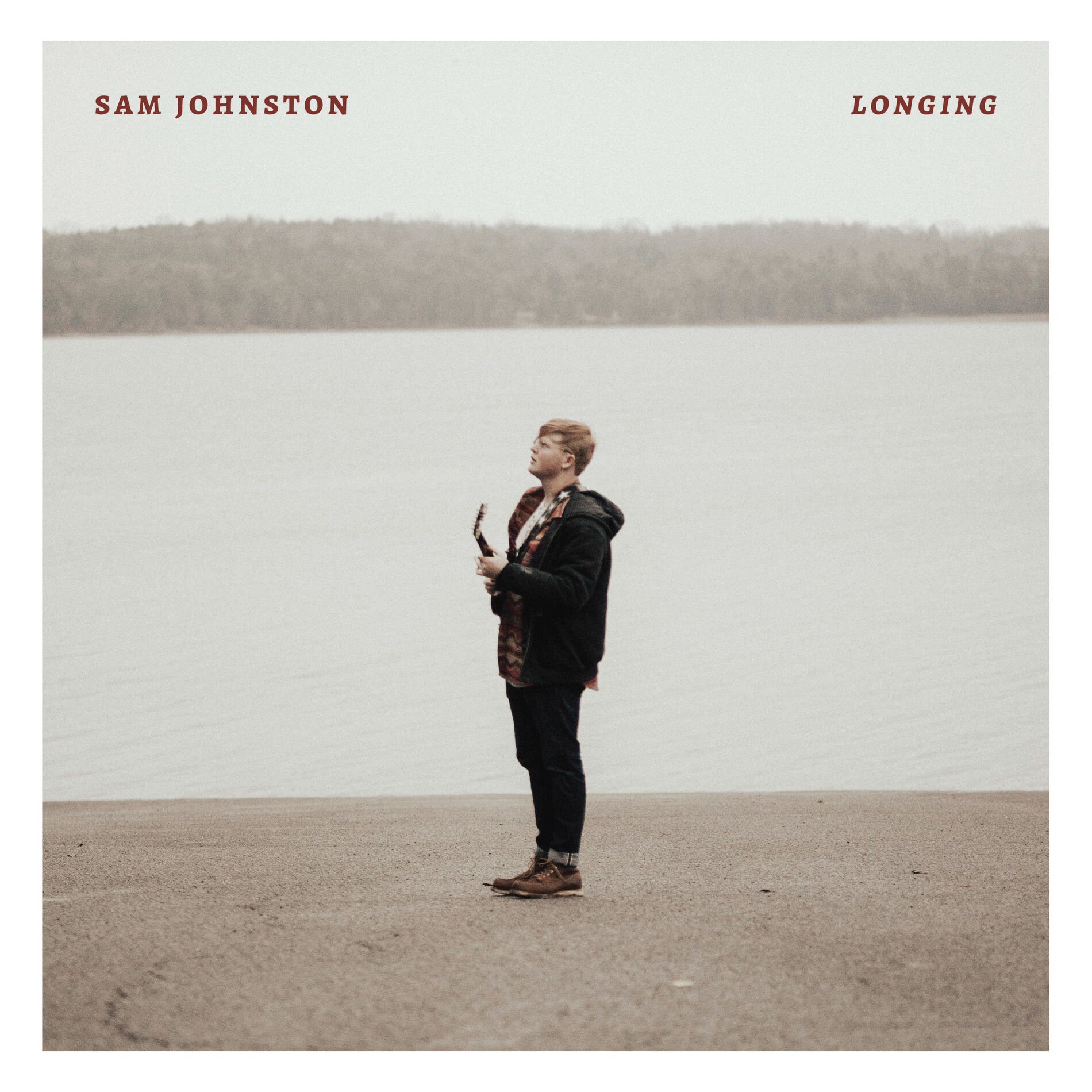 Album cover of Longing