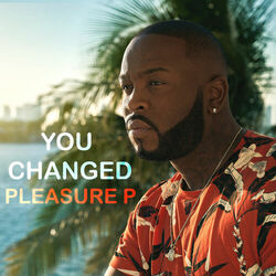 Cover of You Changed