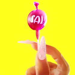 Cover of SAL