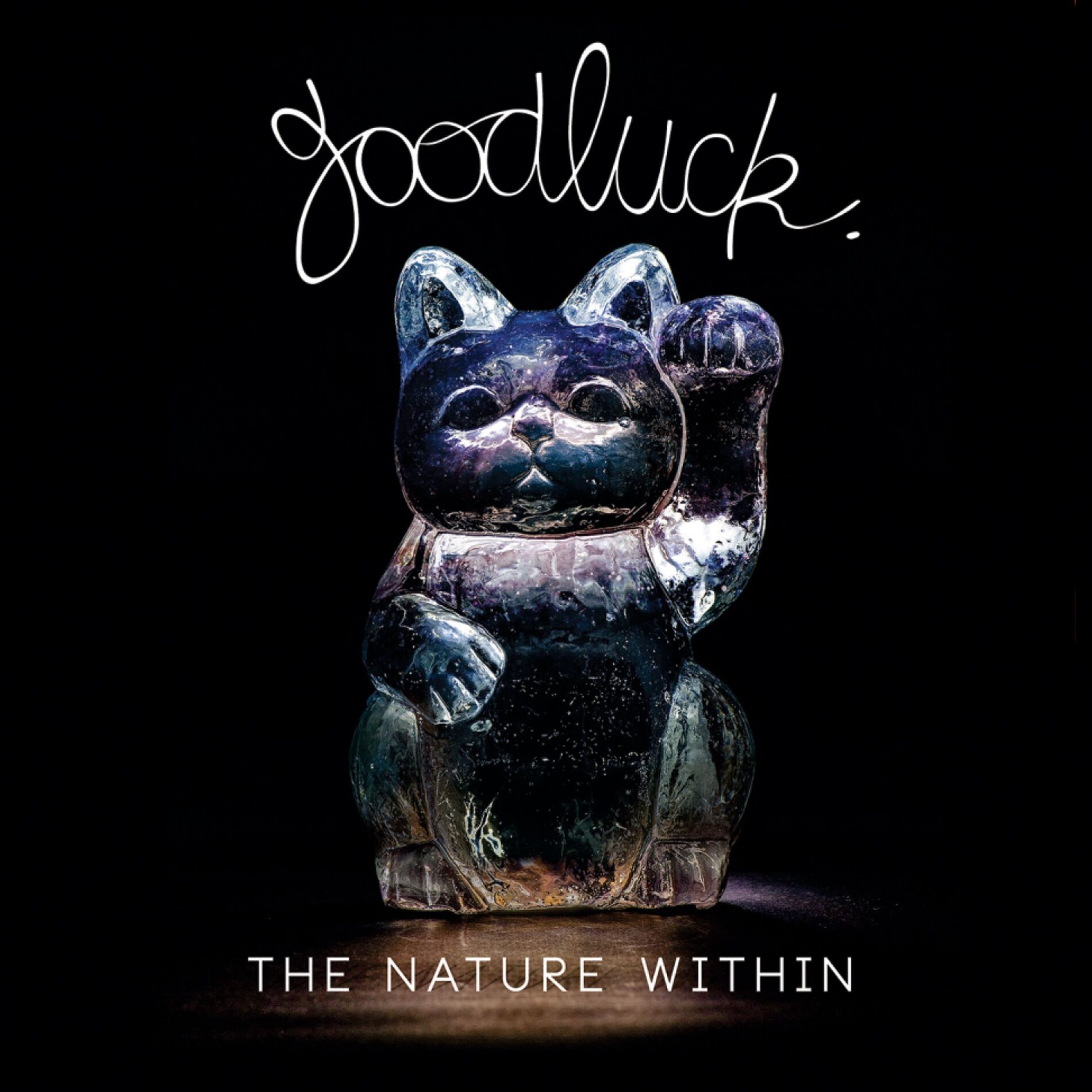 Album cover of The Nature Within