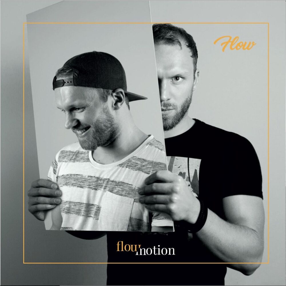 Picture of FlowMotion