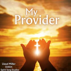 Cover of My Provider