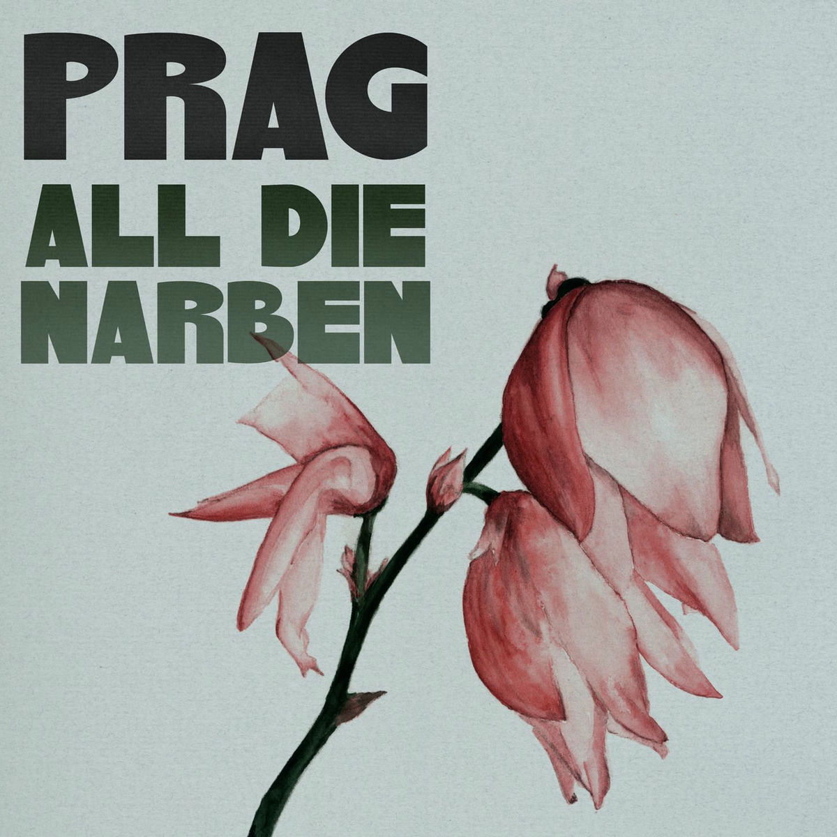 Album cover of All die Narben