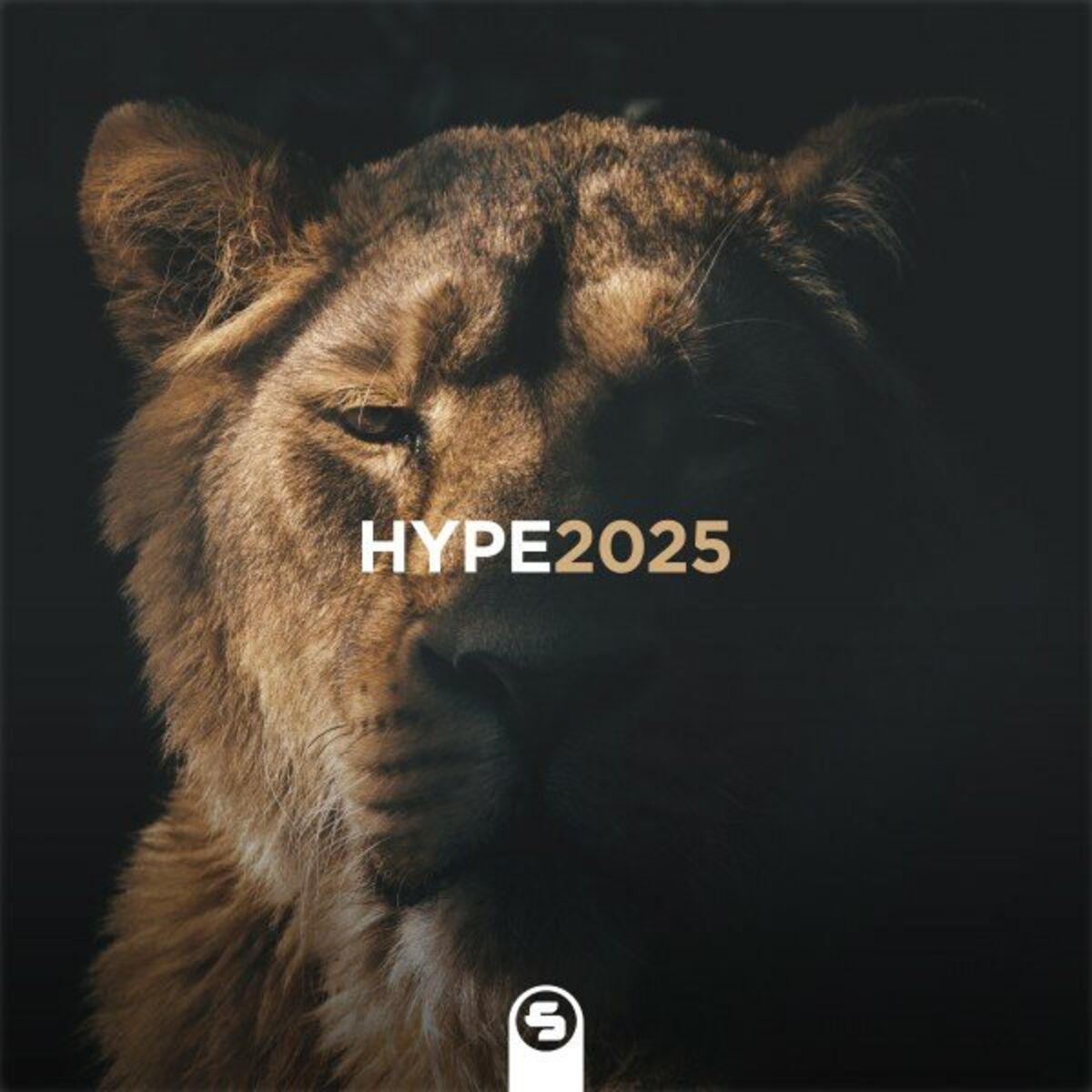 Album cover of Hype2025